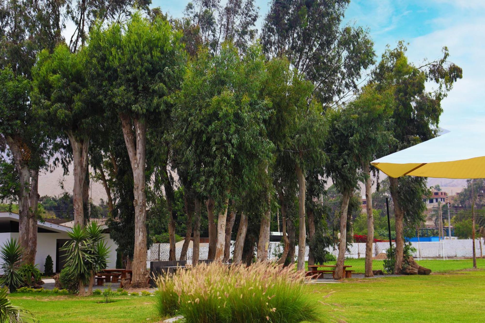 Los Andes - Restaurant & Bungalows Cieneguilla Esterno foto
